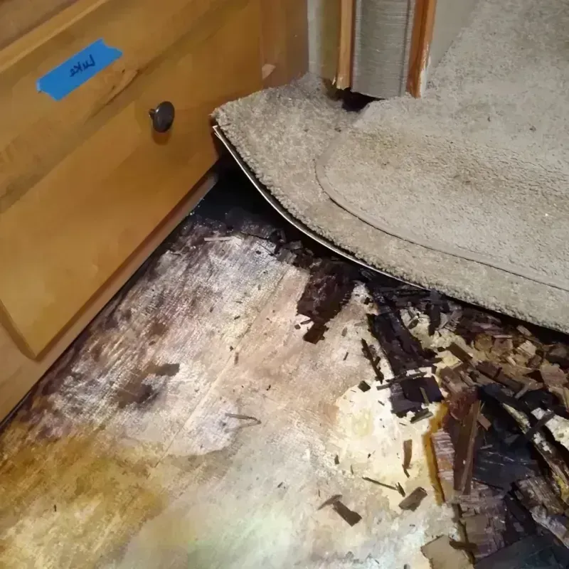 Wood Floor Water Damage in Kensett, AR